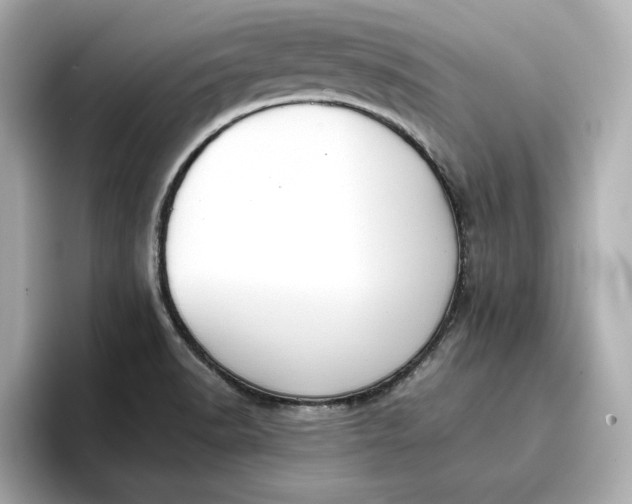 X0000096961518200802221332