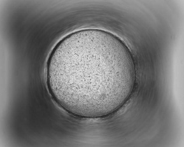 X0000096961519200802221332