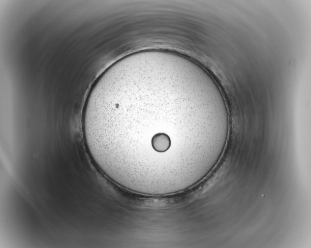 X0000096961521200802221332