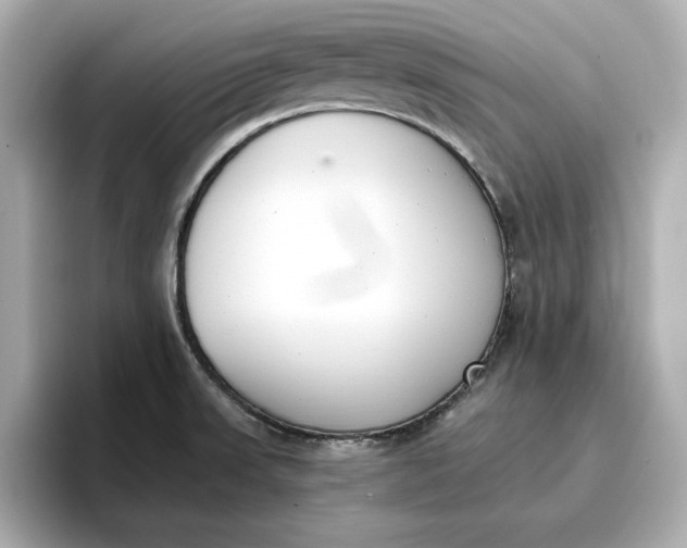 X0000096961523200802221332