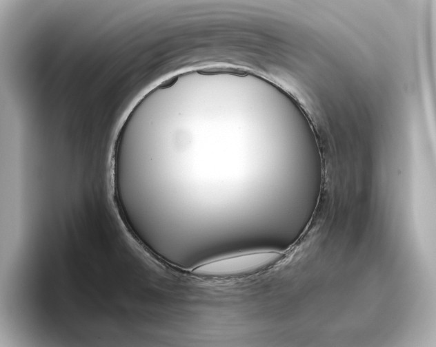 X0000096961524200802221332