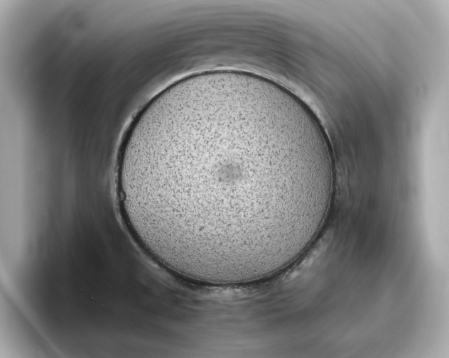 X0000096961525200802221332