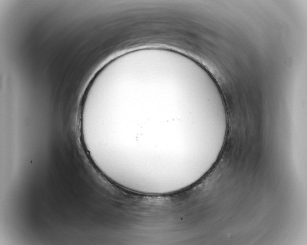 X0000096961526200802221332