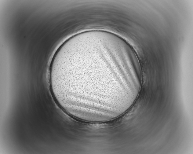 X0000096961527200802221332