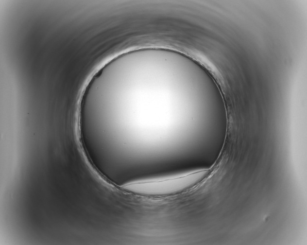 X0000096961528200802221332