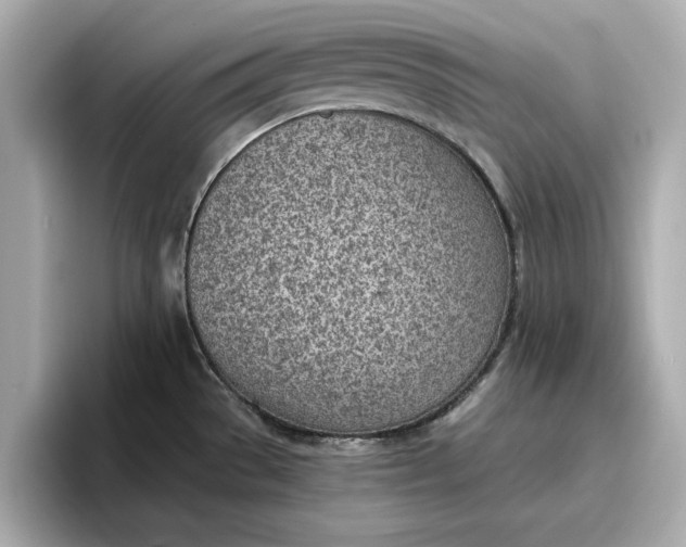 X0000096961529200802221332