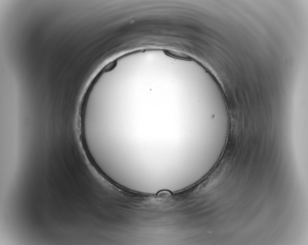 X0000096961531200802221332