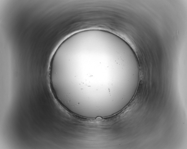 X0000096961532200802221332