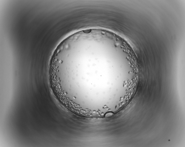 X0000096961534200802221332