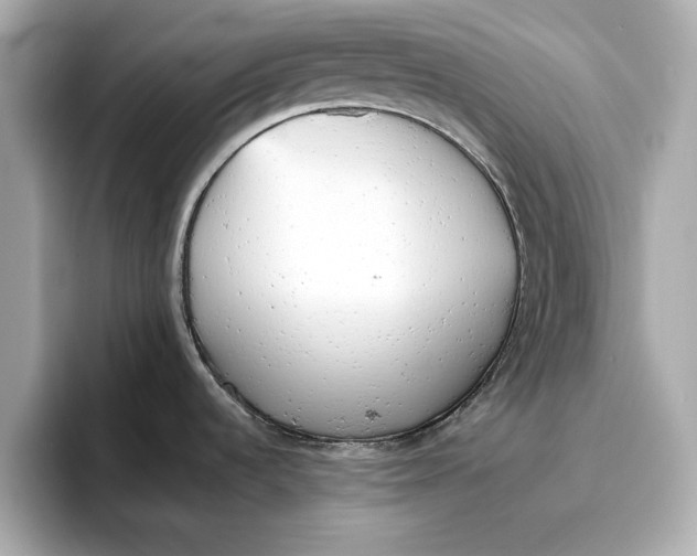 X0000096961536200802221332