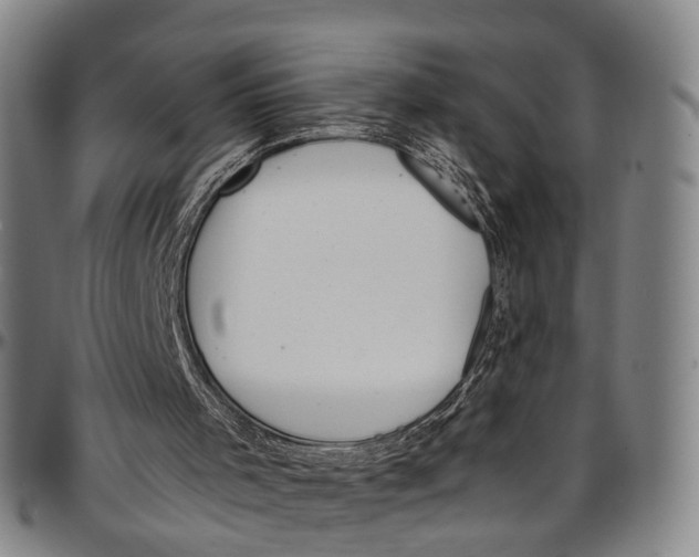 X0000096960001200802291132