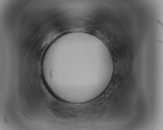 X0000096960002200802291132