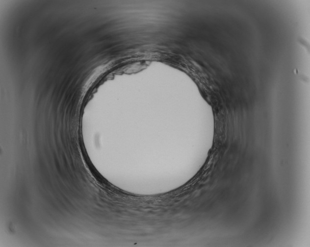 X0000096960003200802291132