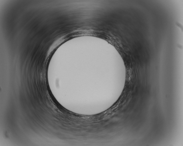 X0000096960004200802291132