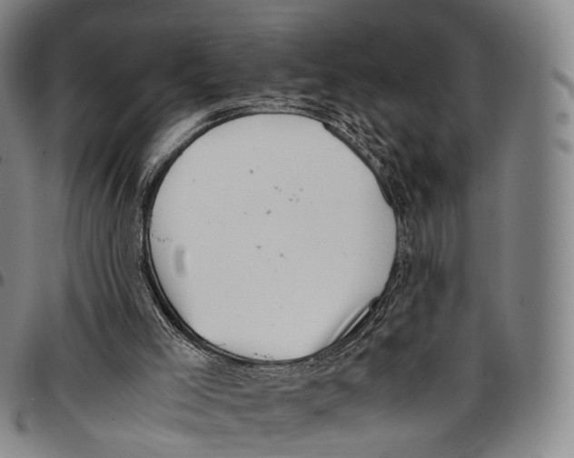 X0000096960005200802291132