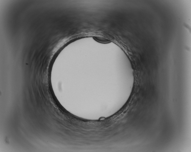 X0000096960008200802291132