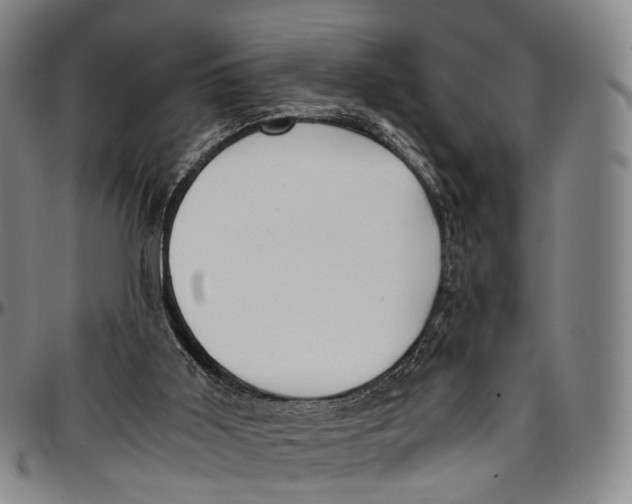 X0000096960011200802291132