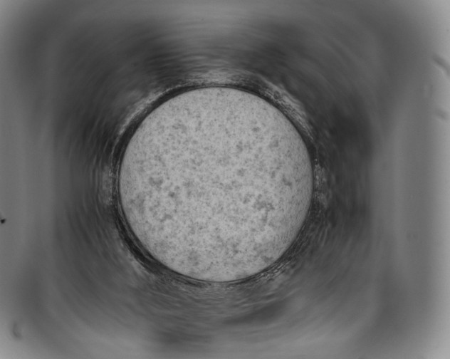 X0000096960012200802291132