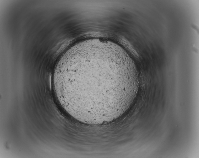 X0000096960014200802291132