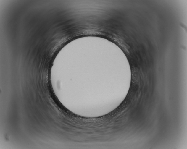 X0000096960015200802291132