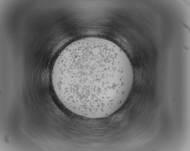 X0000096960016200802291132