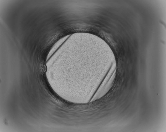 X0000096960017200802291132