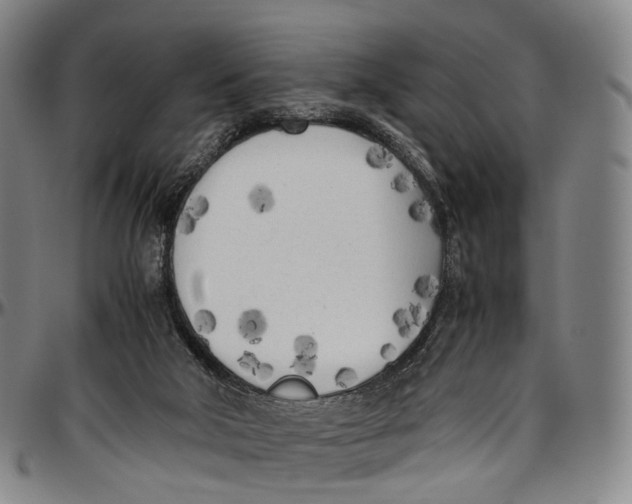 X0000096960018200802291132