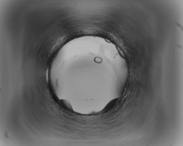 X0000096960019200802291132