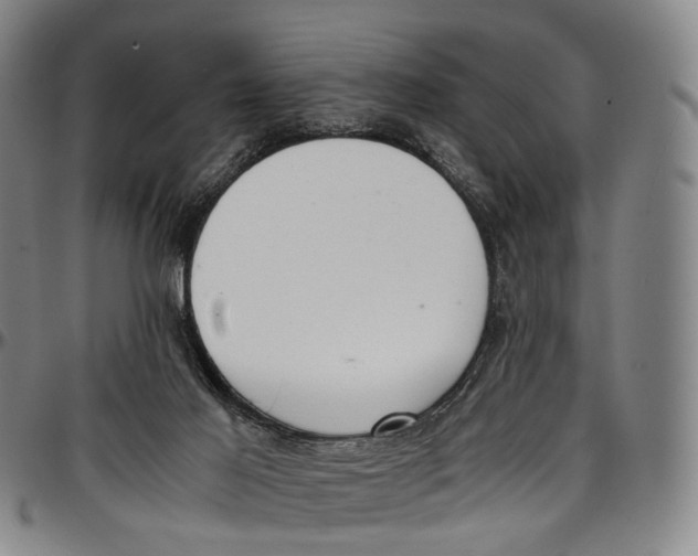 X0000096960021200802291132