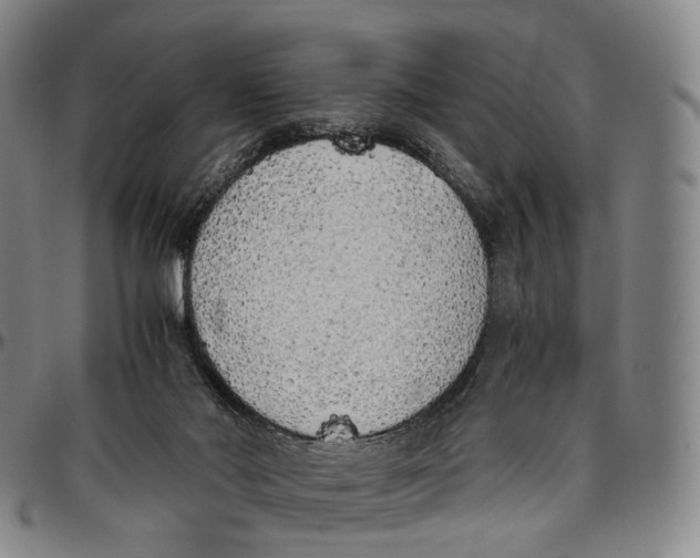 X0000096960022200802291132