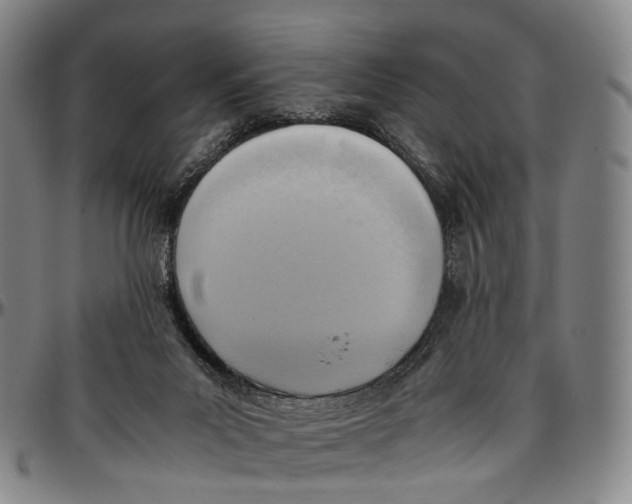 X0000096960023200802291132