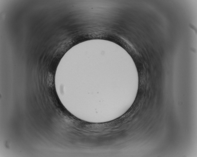 X0000096960025200802291132