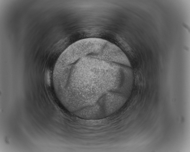 X0000096960026200802291132