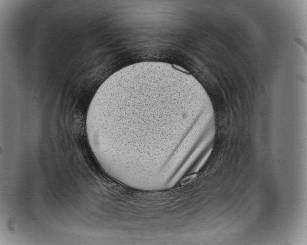 X0000096960029200802291132