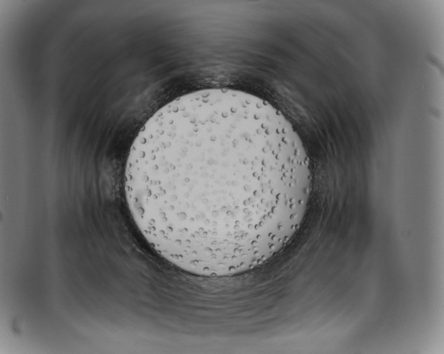 X0000096960030200802291132