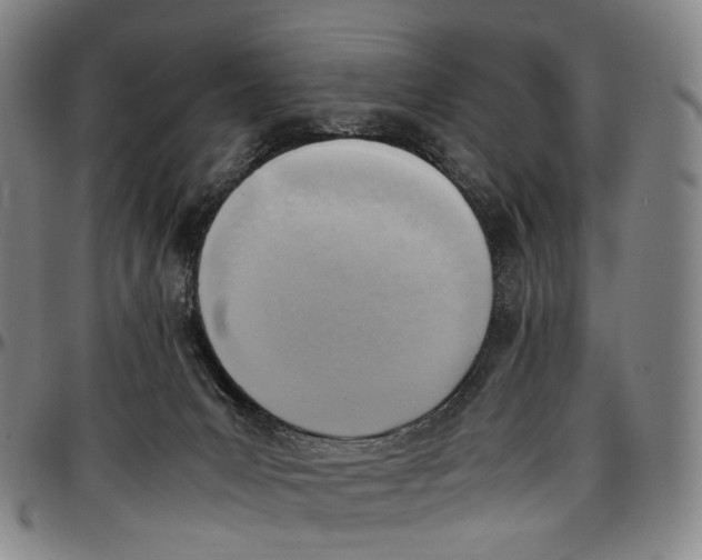 X0000096960031200802291132