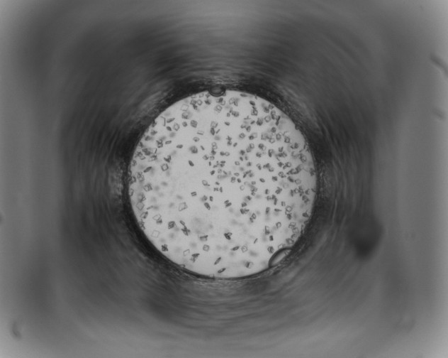 X0000096960032200802291132