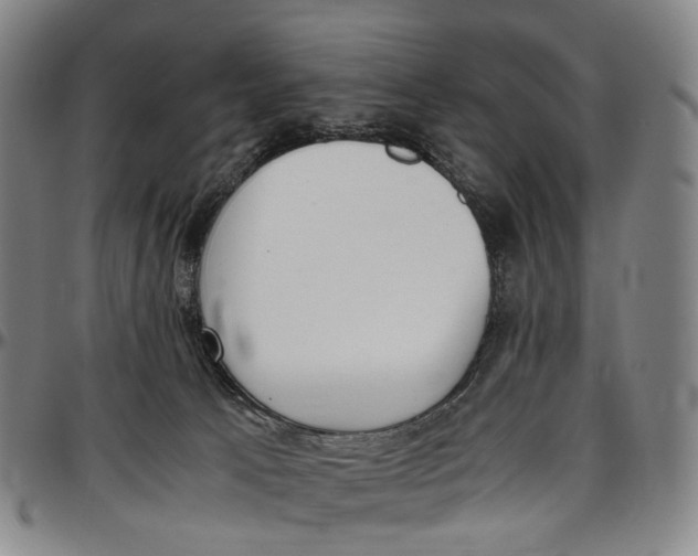 X0000096960033200802291132