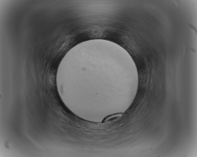 X0000096960035200802291132