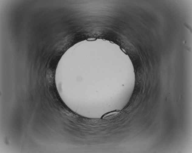 X0000096960037200802291132