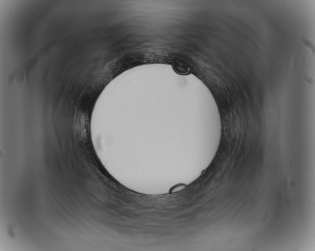 X0000096960038200802291132