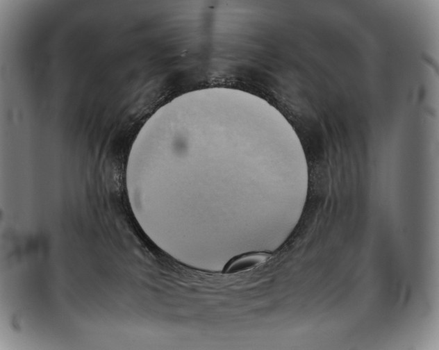 X0000096960039200802291132