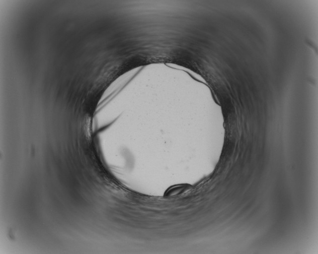 X0000096960041200802291132