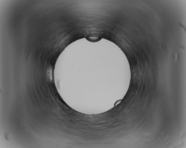 X0000096960042200802291132