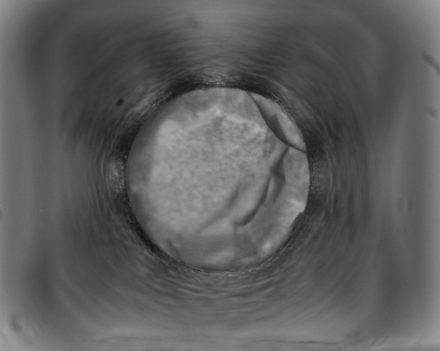 X0000096960043200802291132