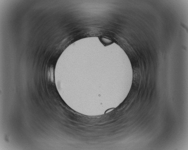 X0000096960046200802291132