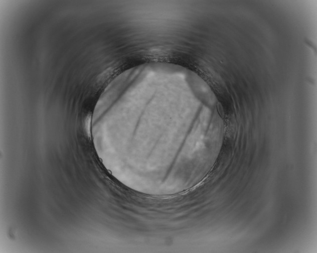 X0000096960047200802291132