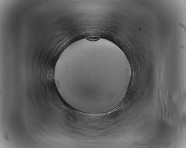 X0000096960048200802291132