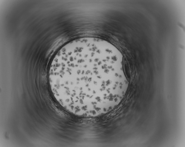 X0000096960050200802291131