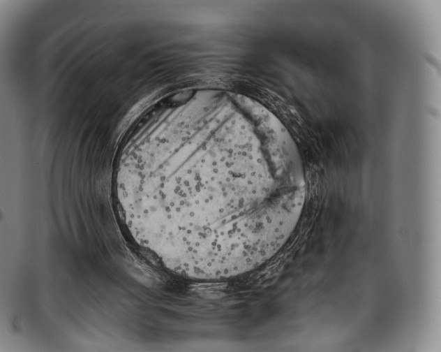 X0000096960051200802291131